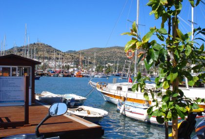 Devam eden Hizmetlerimiz