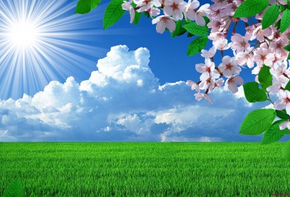 Tamamlanmış Hizmetlerimiz